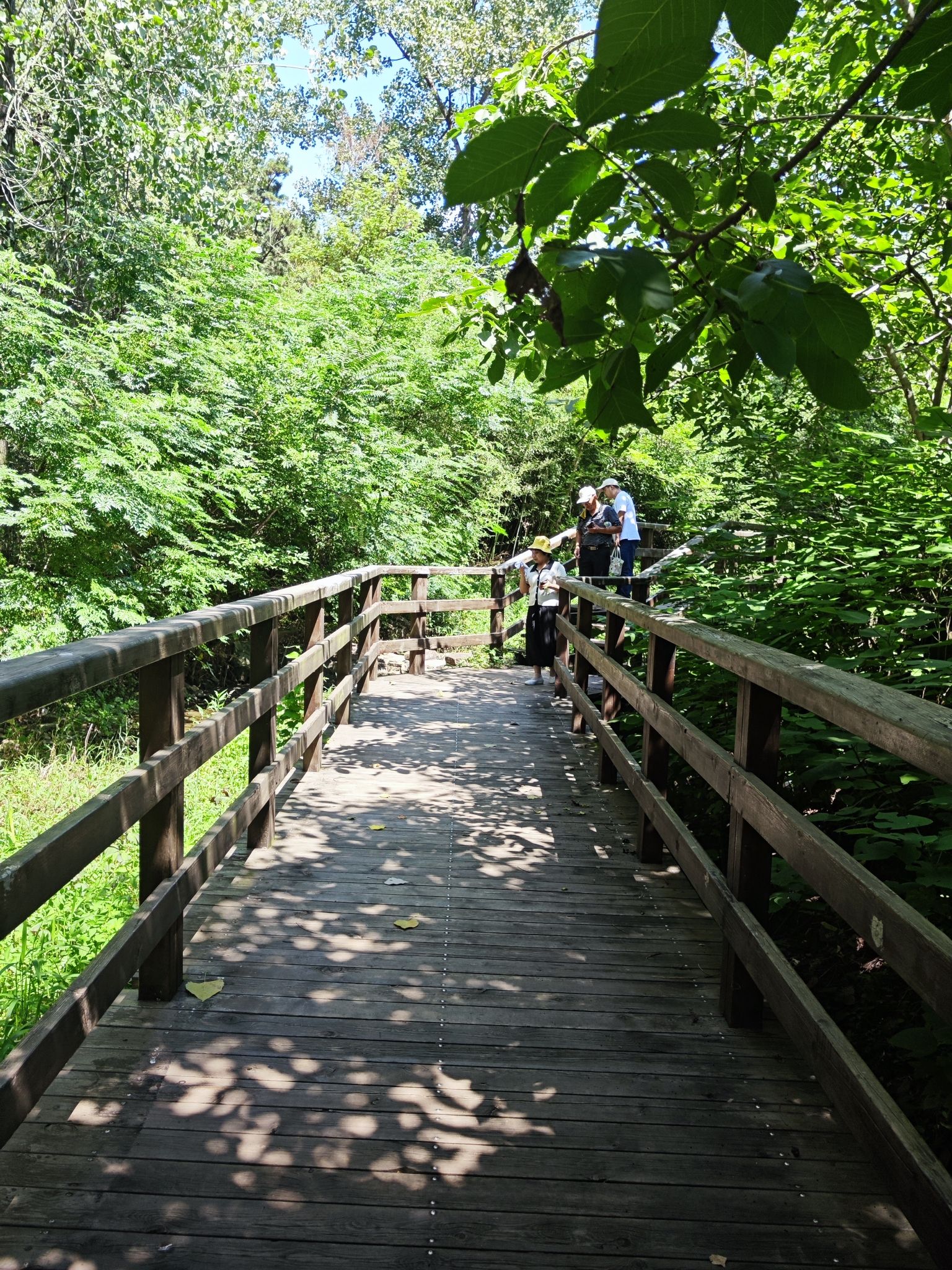 马陵山景区旅行图片 2