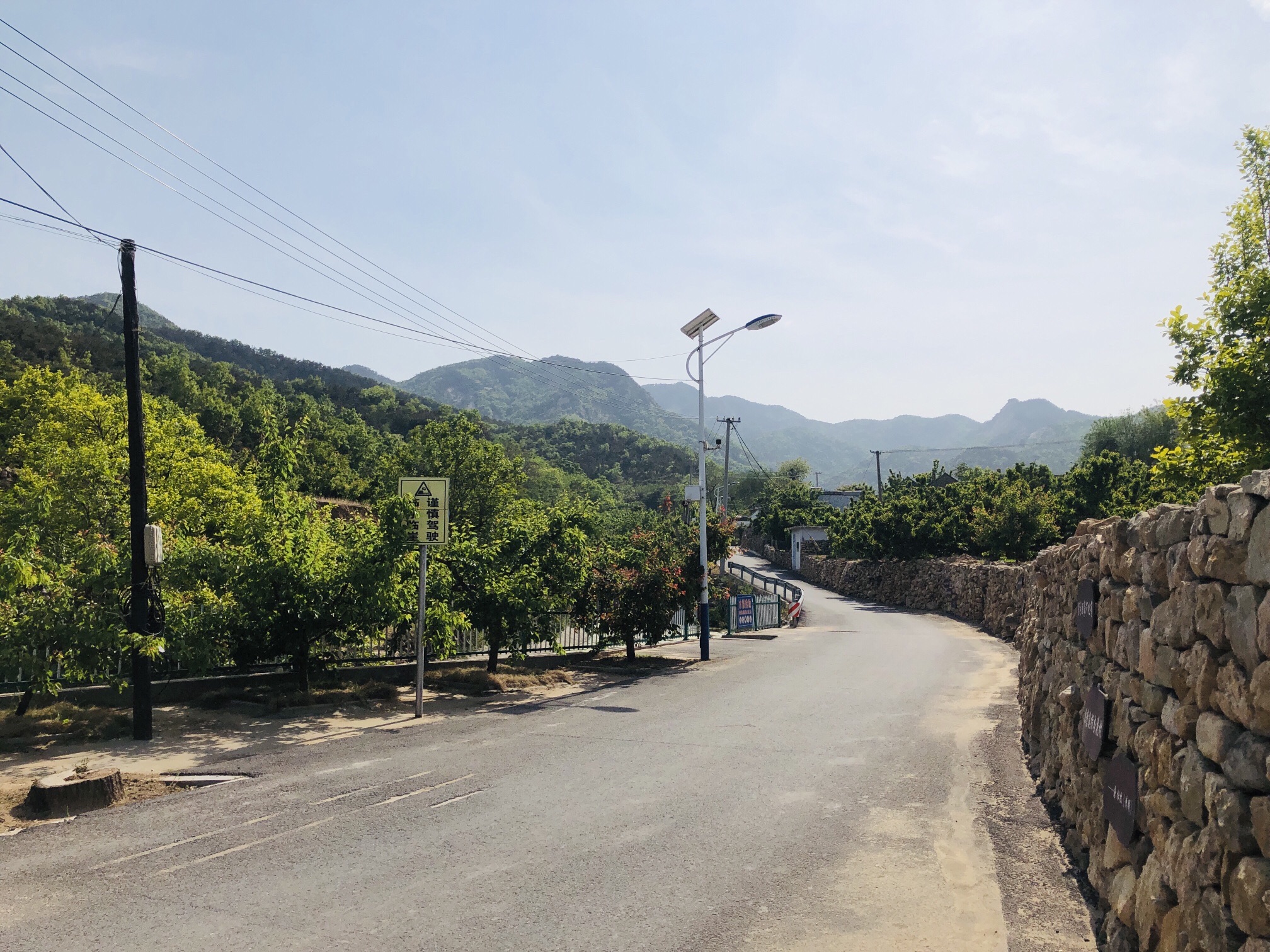 十里杏花谷旅行图片 3