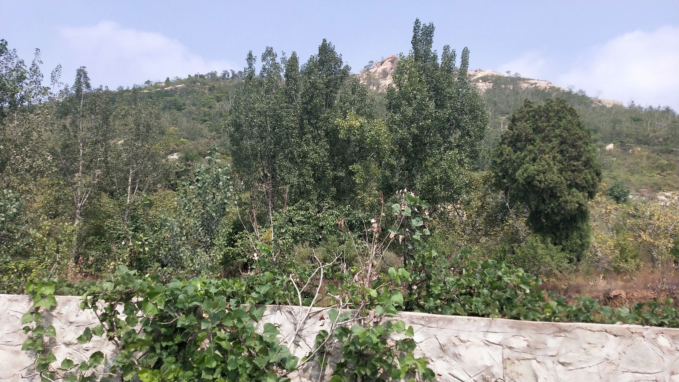 葫芦套民俗风景区旅行图片 1