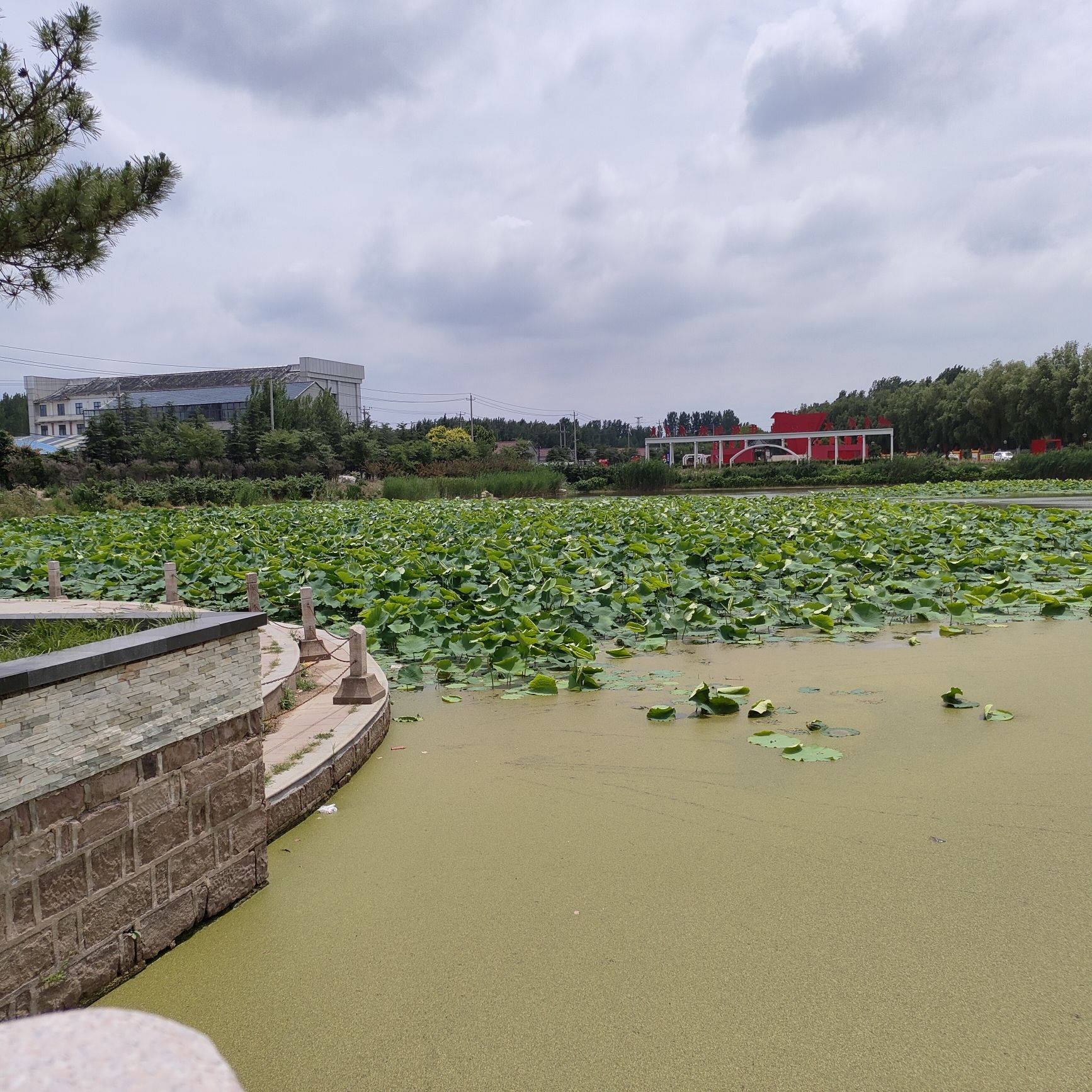 莒南县浔河湿地公园旅行图片 1