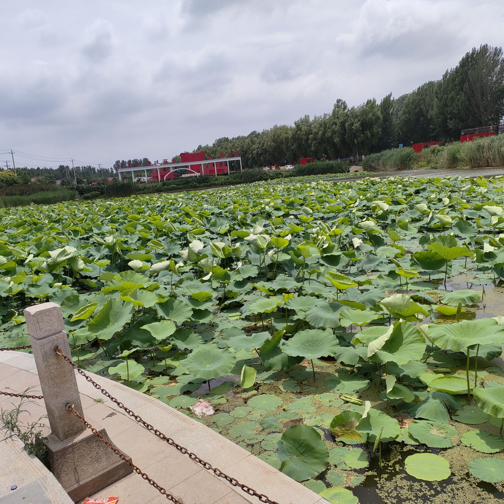 莒南县浔河湿地公园旅行图片 2