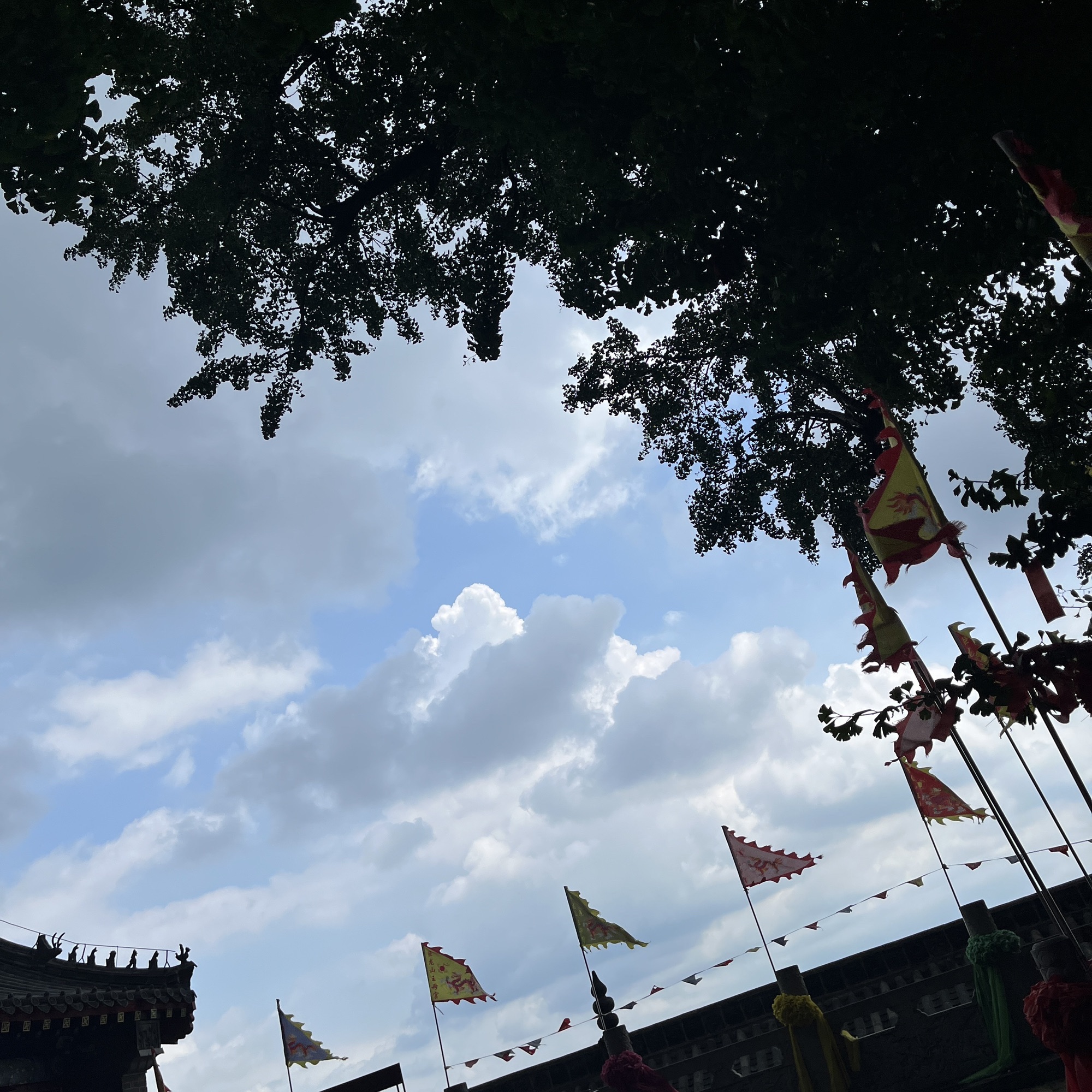 巨龙山旅游风景区旅行图片 3