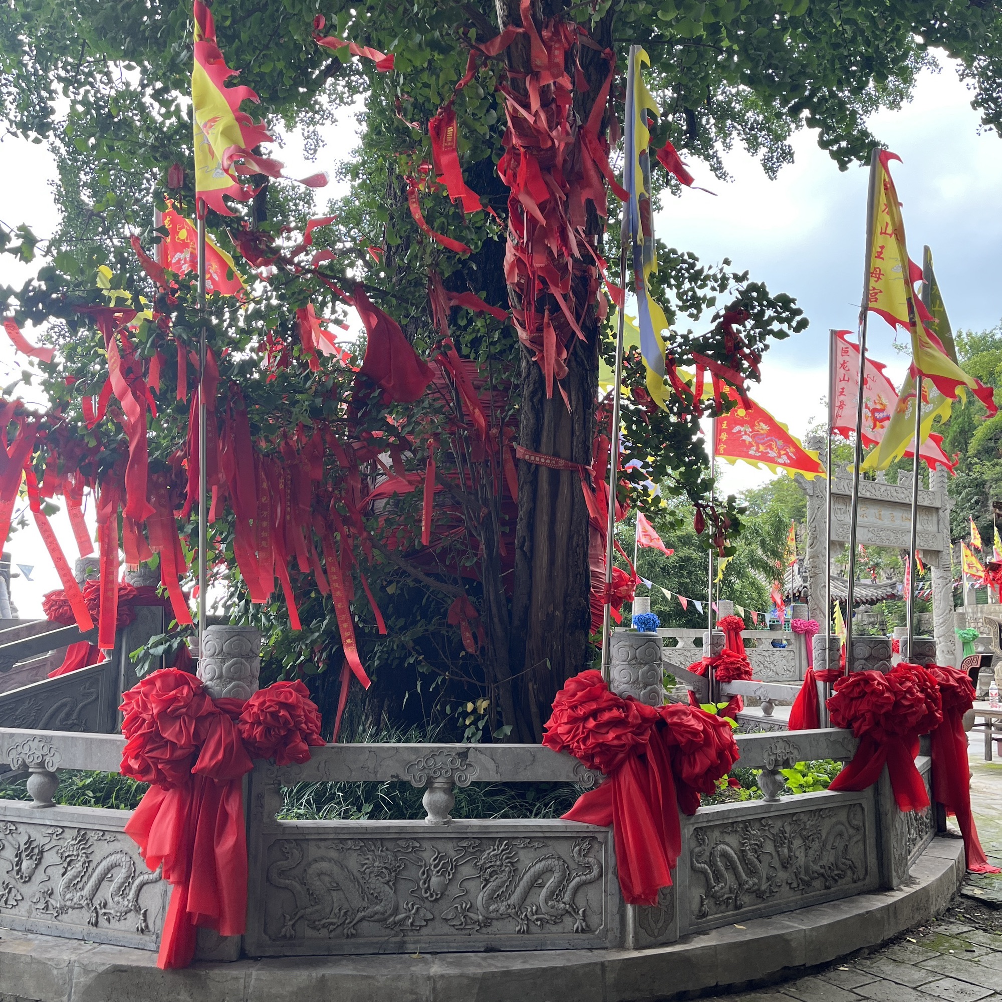 巨龙山旅游风景区旅行图片 2