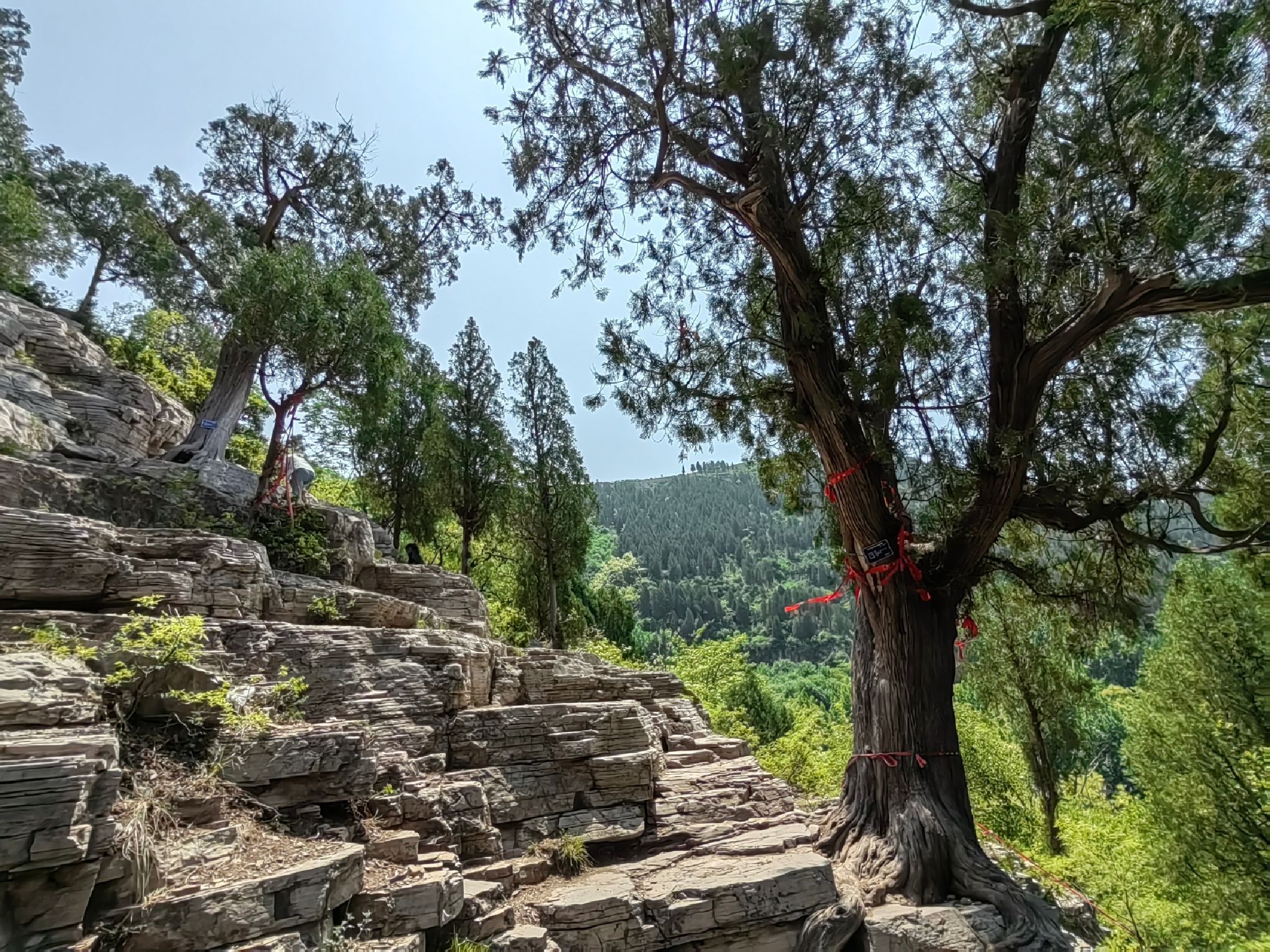 青州雀山风景区旅行图片 1