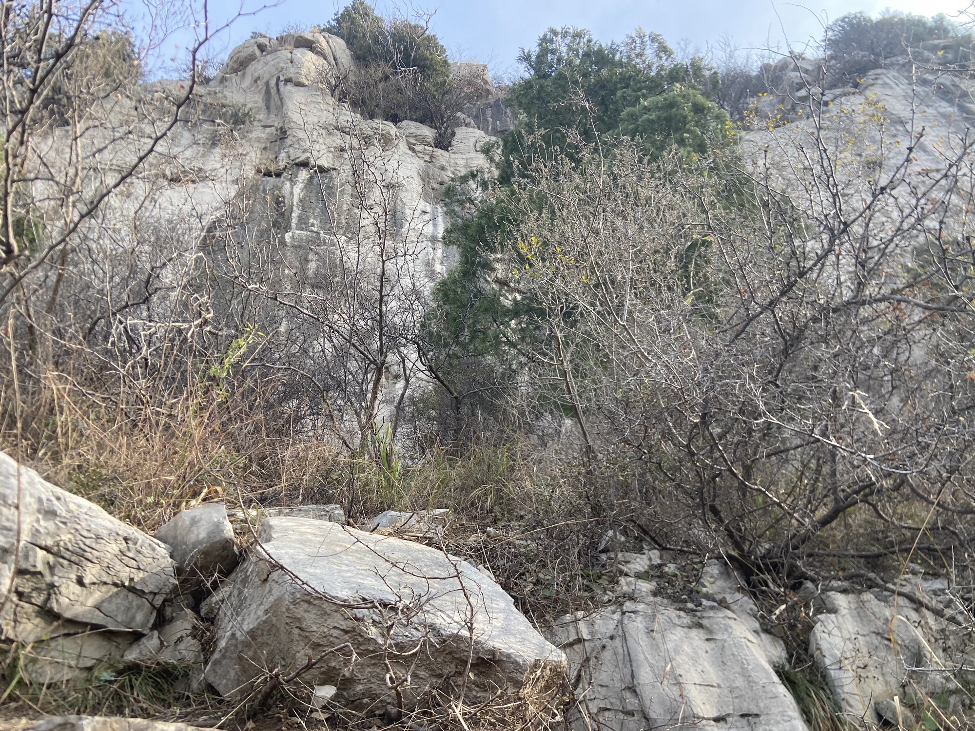 青州雀山风景区旅行图片 1