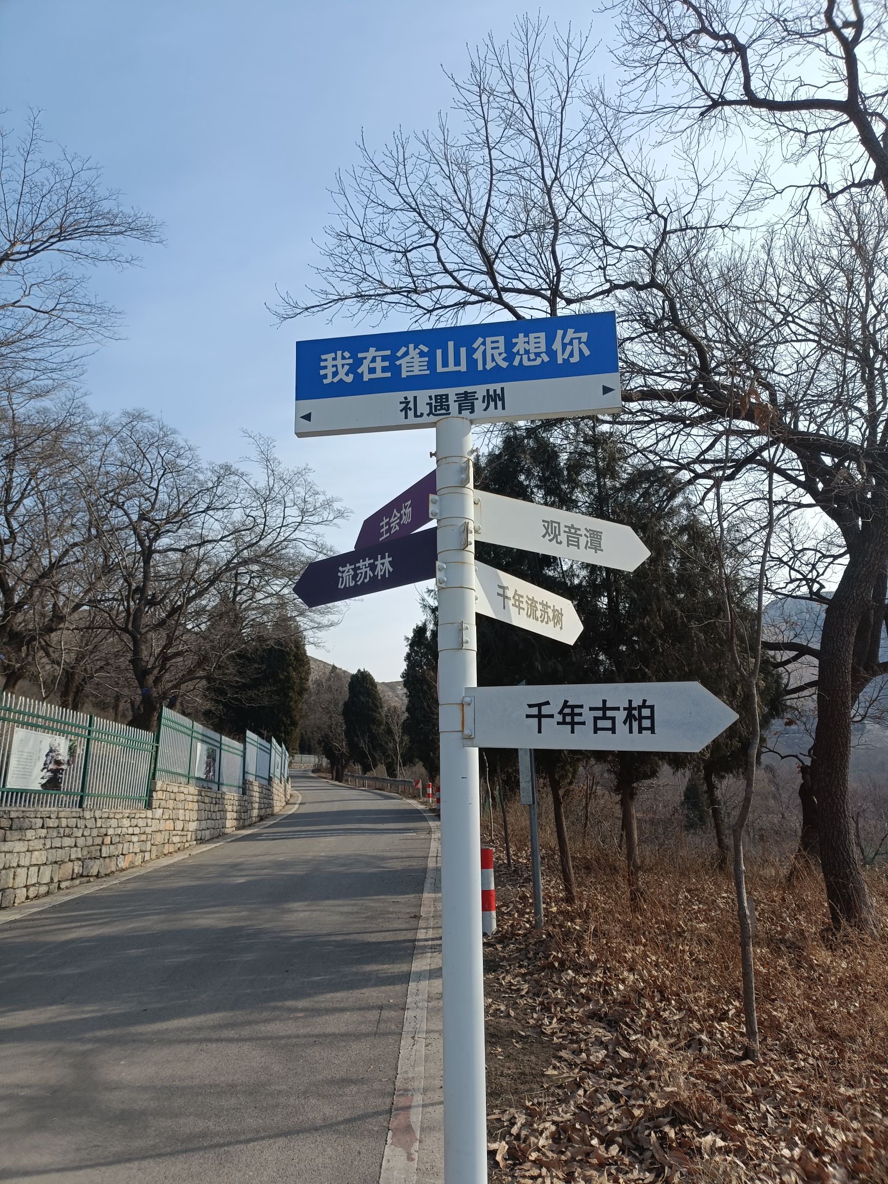 青州雀山风景区旅行图片 1