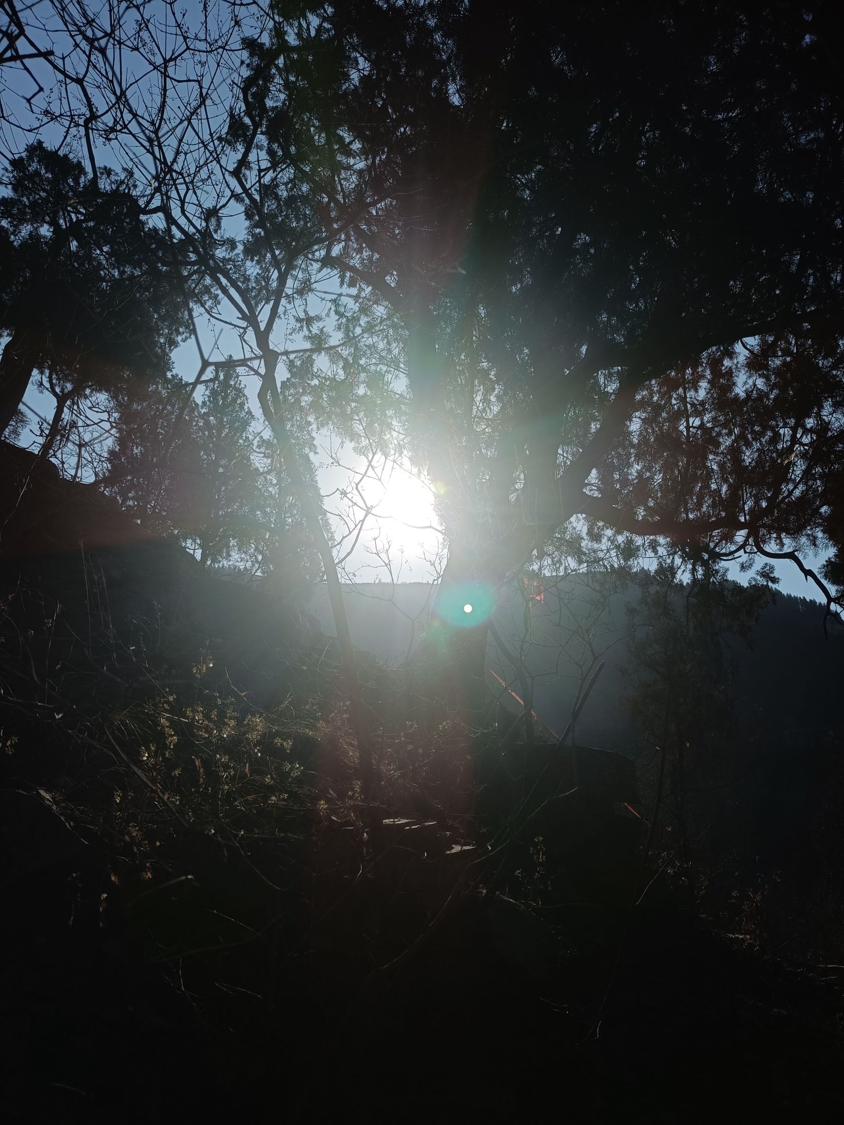 青州雀山风景区旅行图片 3