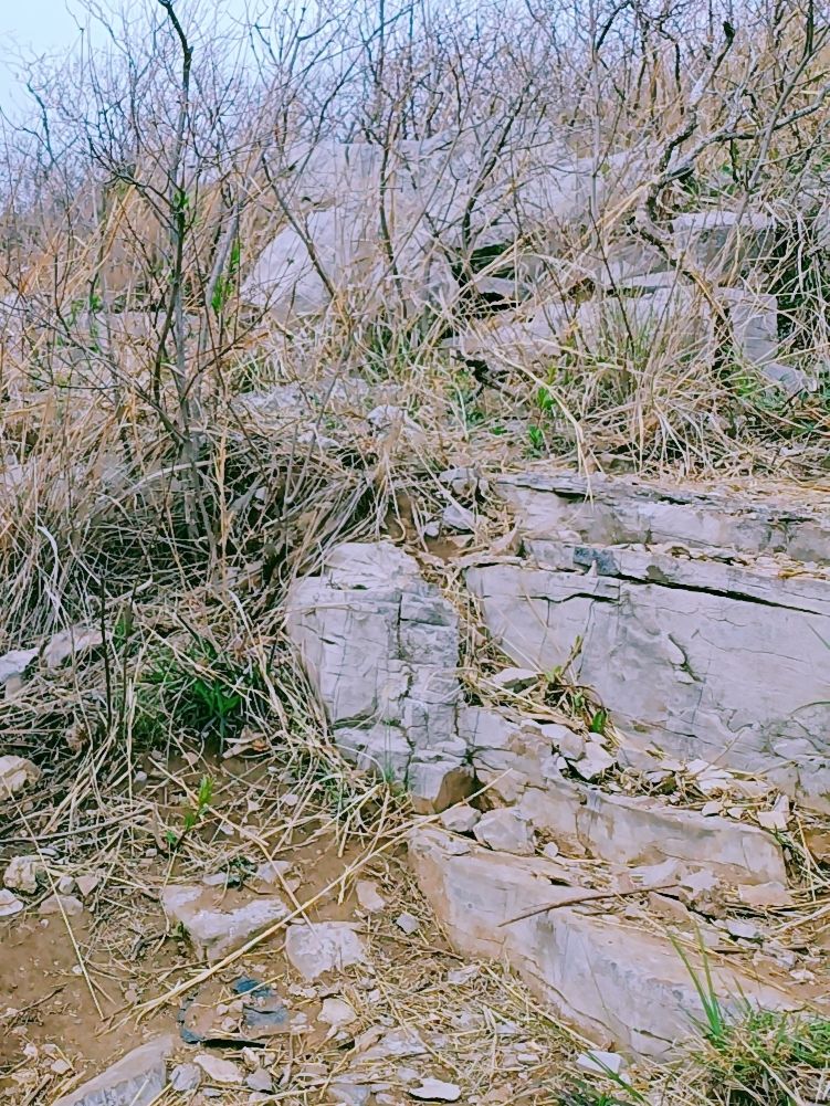 青州雀山风景区旅行图片 2