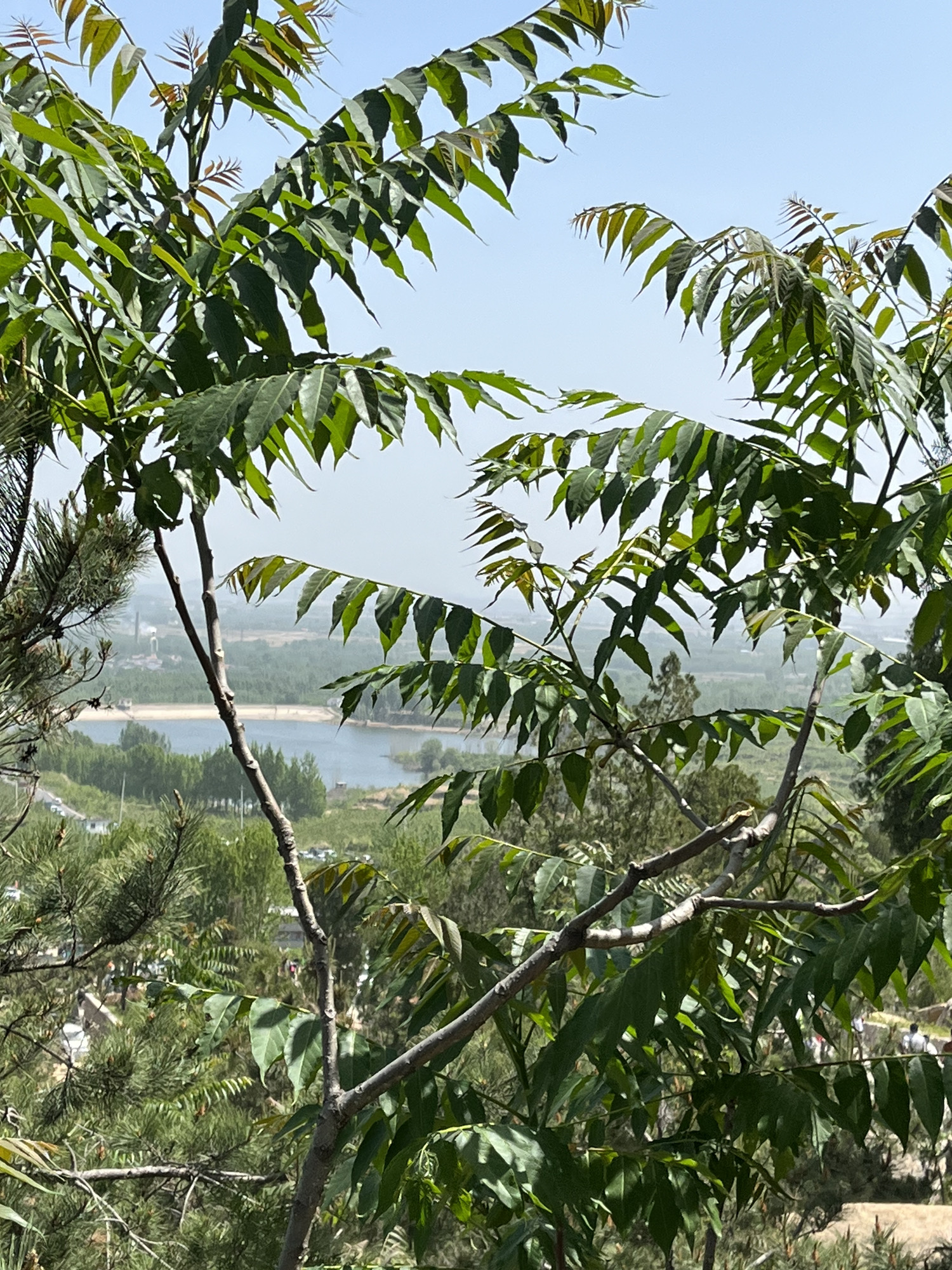 凤仙山景区旅行图片 3