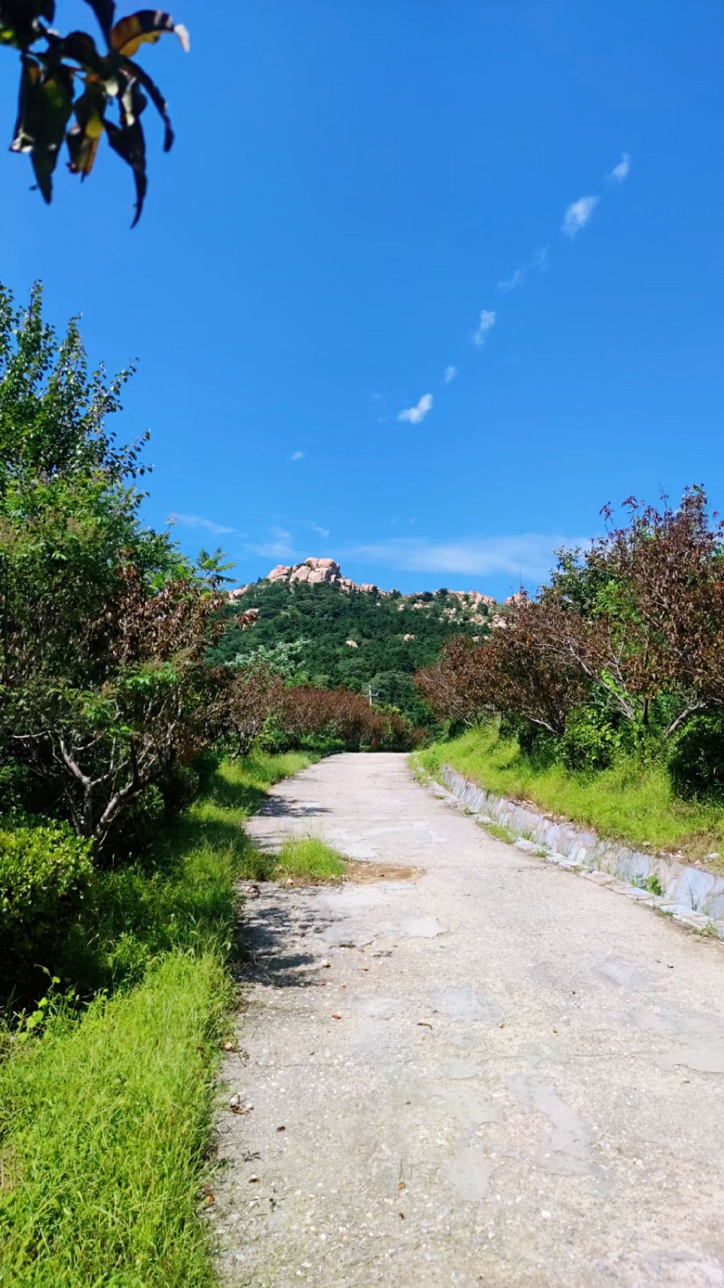 凤仙山景区旅行图片 1