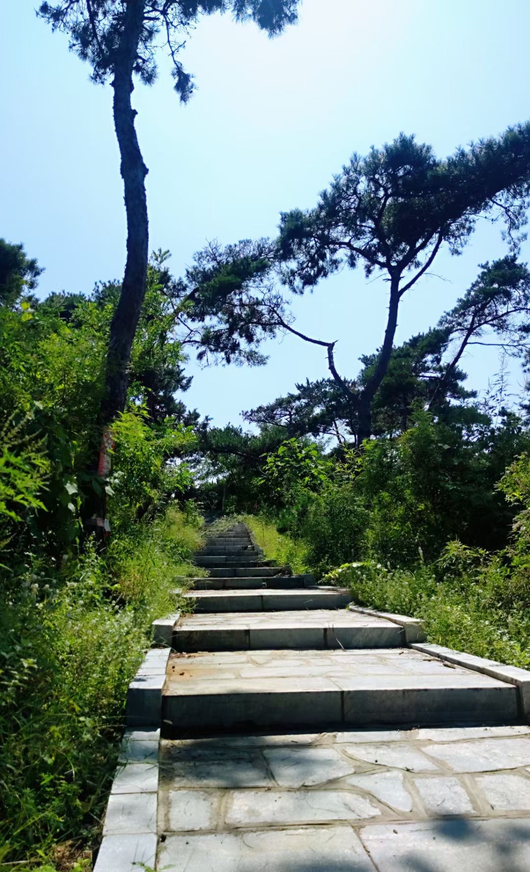 凤仙山景区旅行图片 2