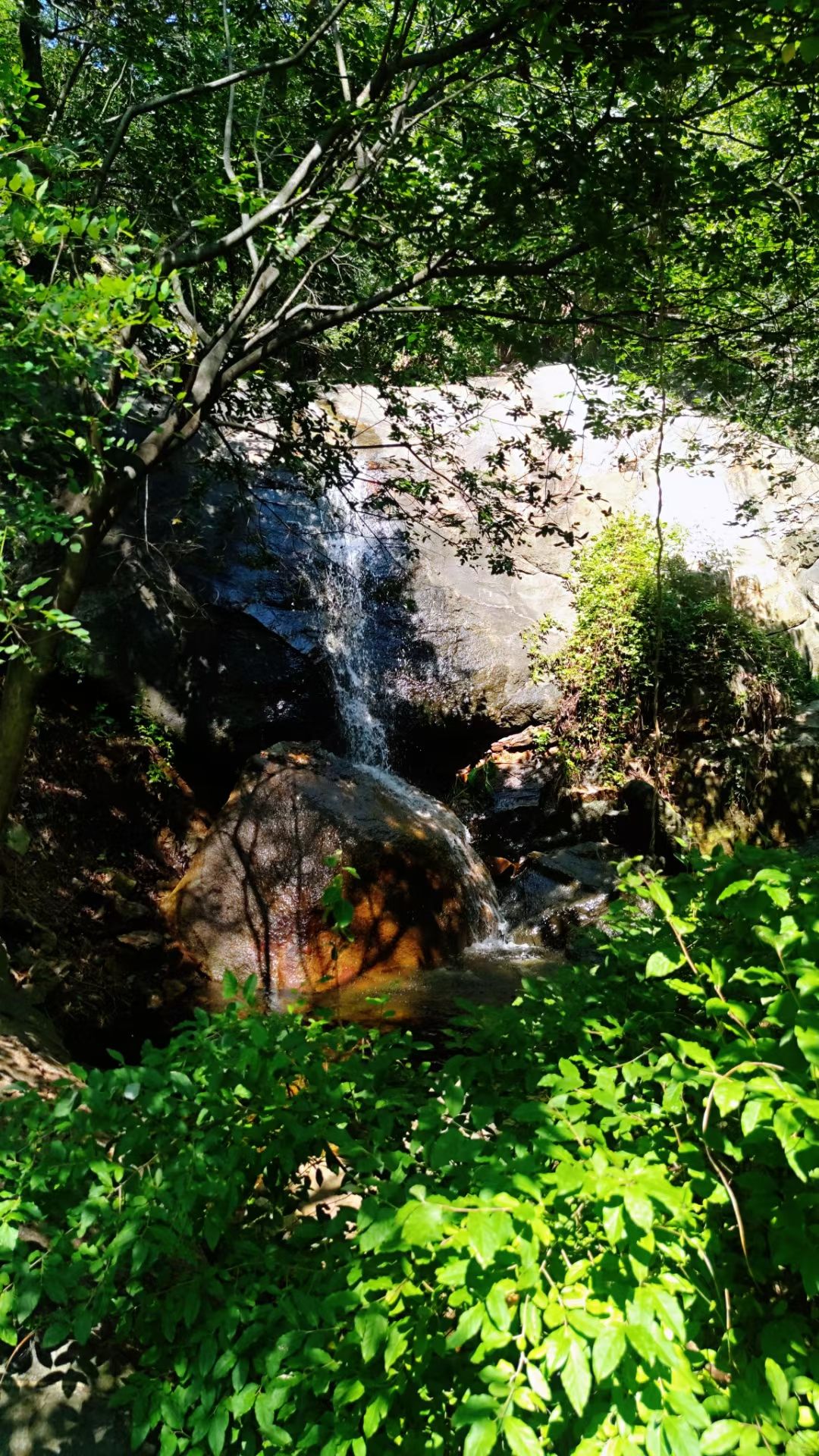 凤仙山景区旅行图片 3