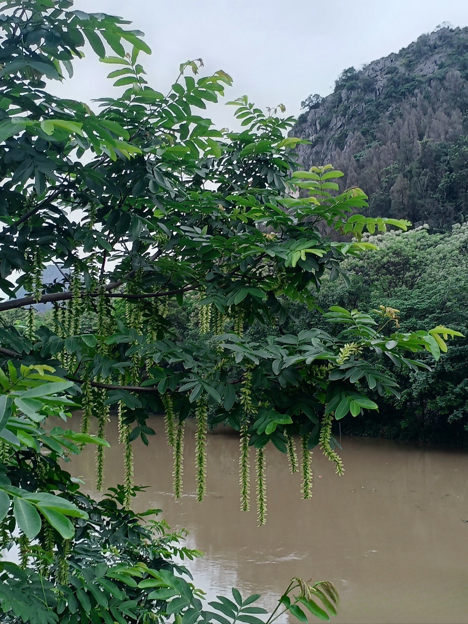 桃花湖景公园旅行图片 2