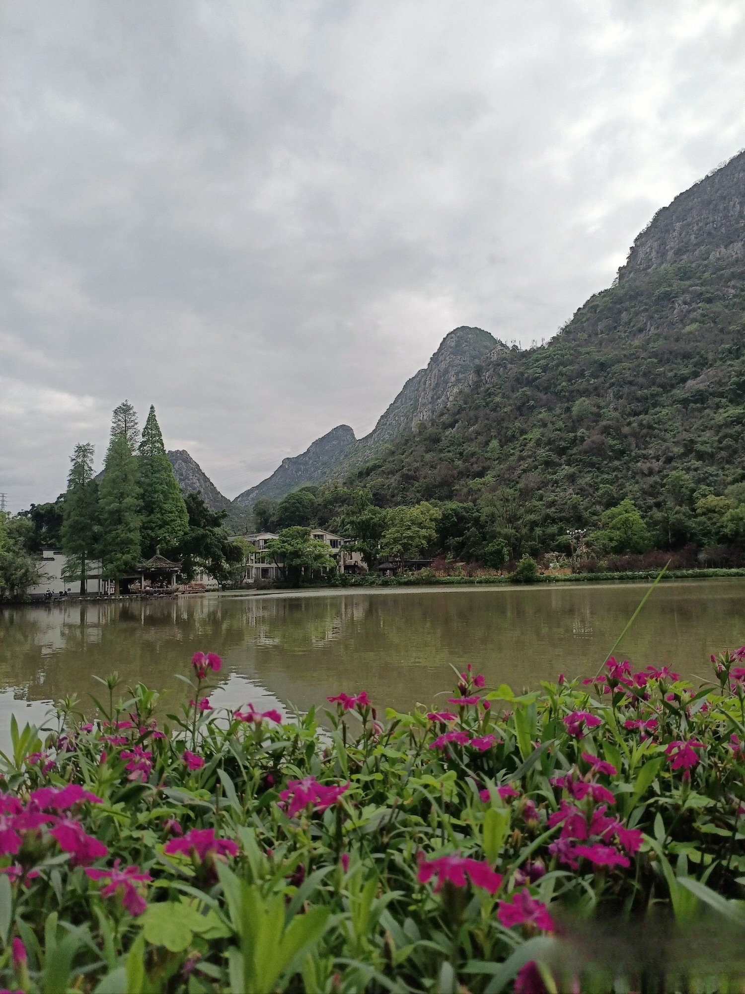 桃花湖景公园旅行图片 3
