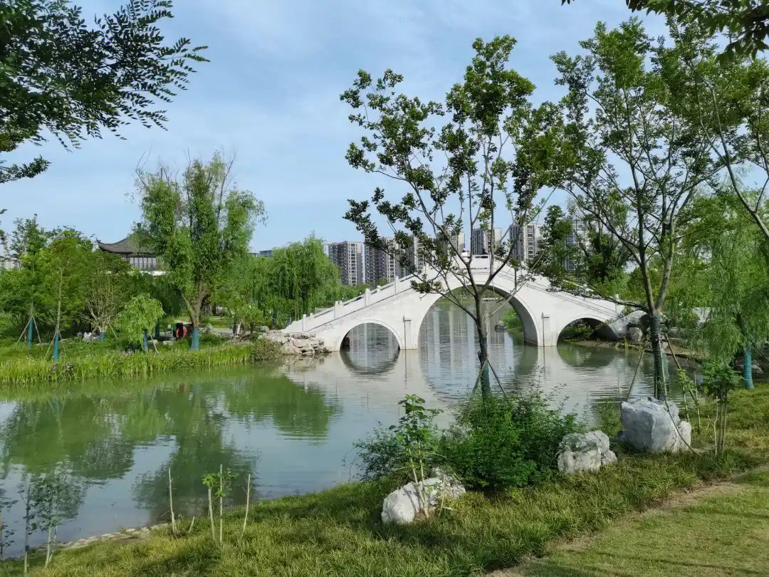 桃花湖景公园旅行图片 3