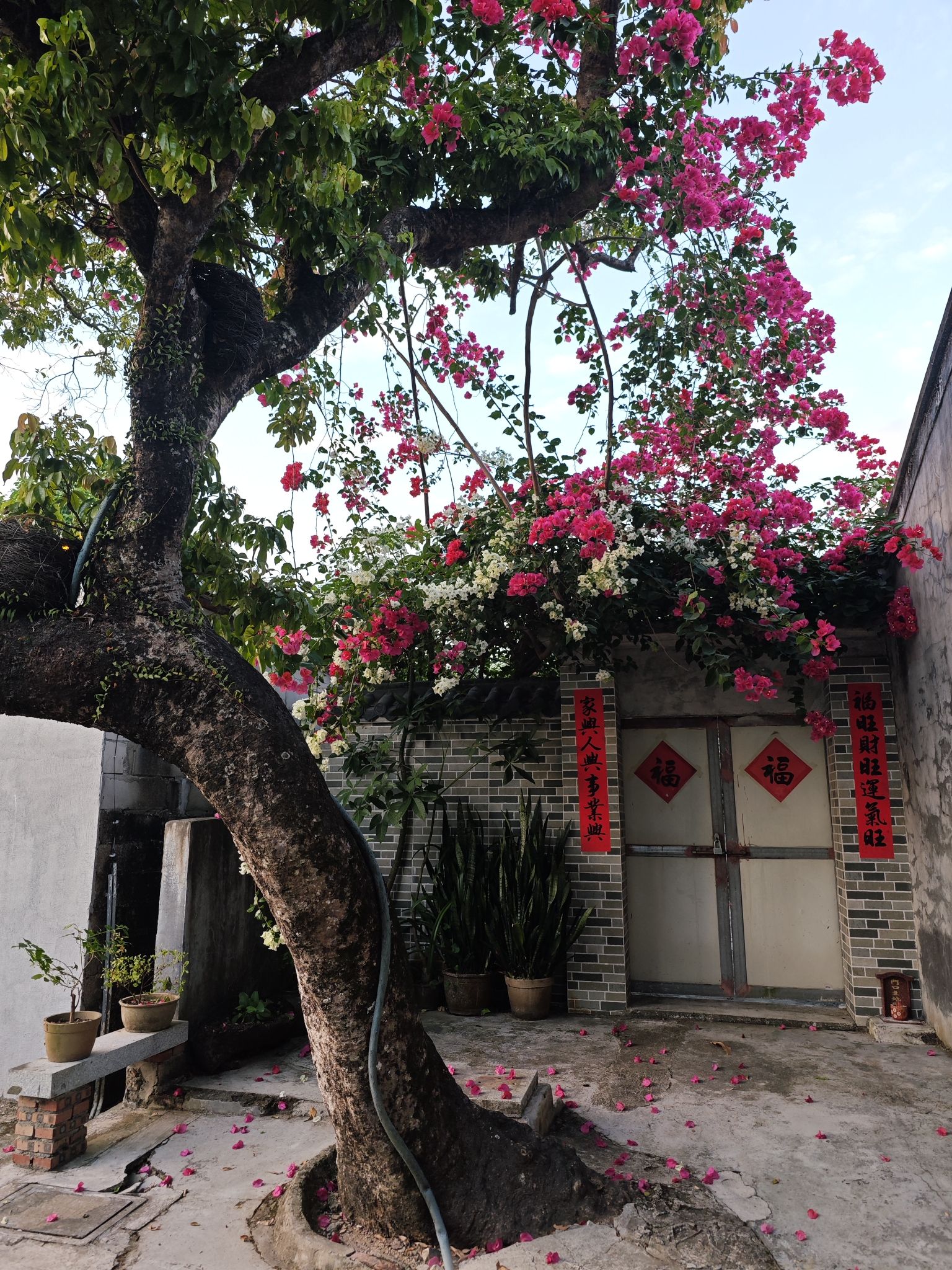 会同古村旅游区旅行图片 1