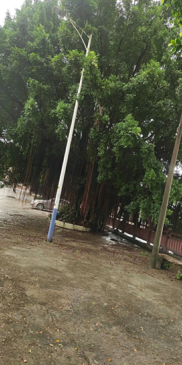 马氏宗祠旅行图片 2