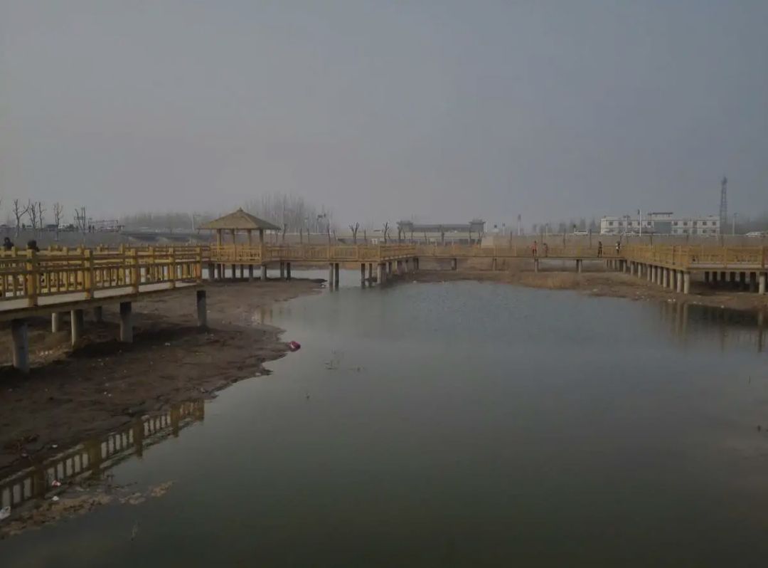位山黄河公园旅行图片 3