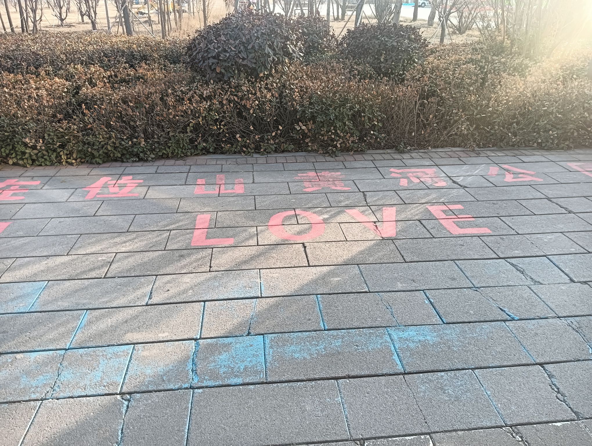 位山黄河公园旅行图片 3