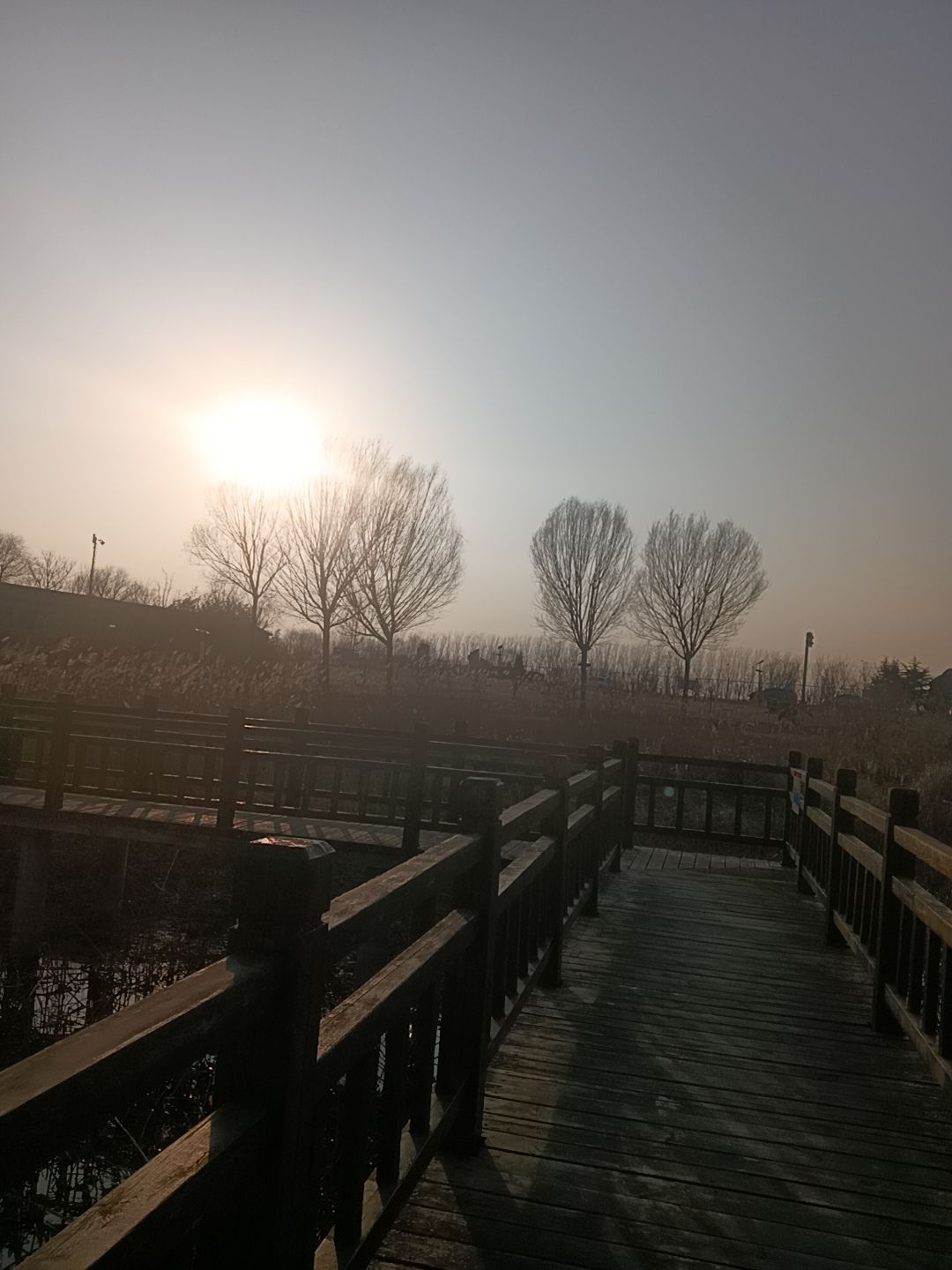 位山黄河公园旅行图片 2