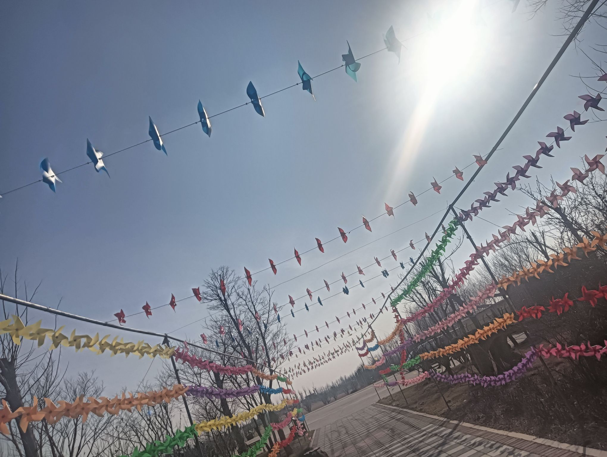 位山黄河公园旅行图片 1