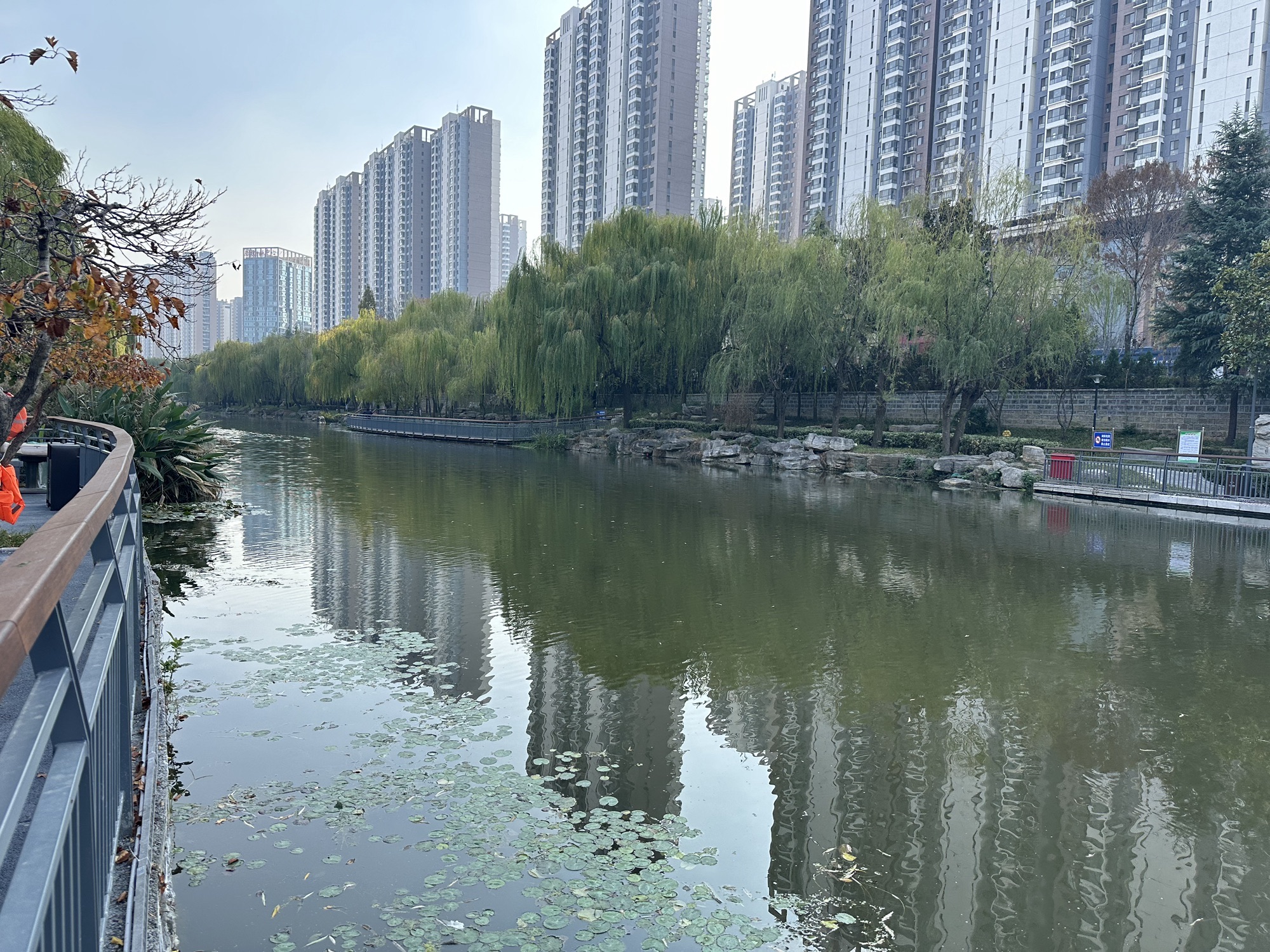 小清河河滨公园旅行图片 2