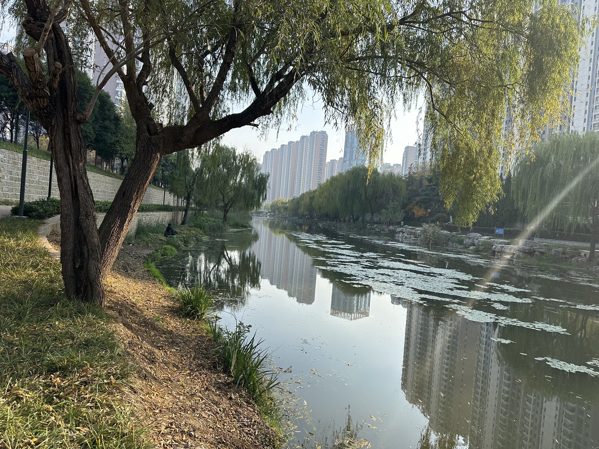 小清河河滨公园旅行图片 3