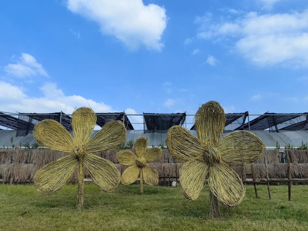 别桥原乡旅游景区旅行图片 2