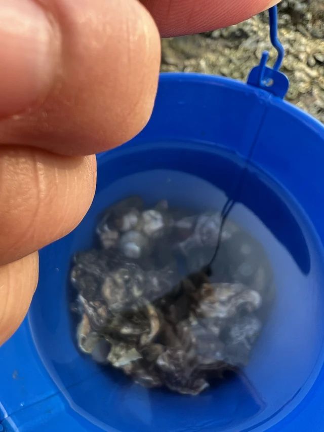 小石岛钓鱼赶海公园旅行图片 3