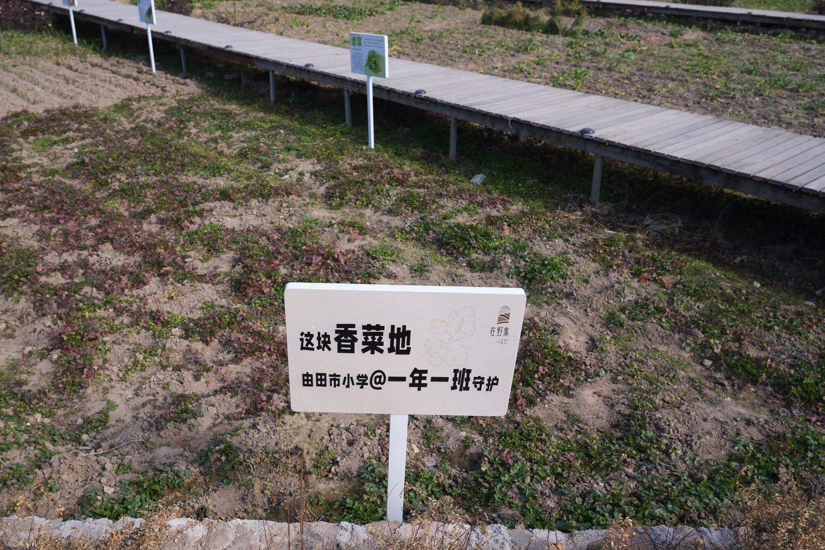 云田古镇旅行图片 3