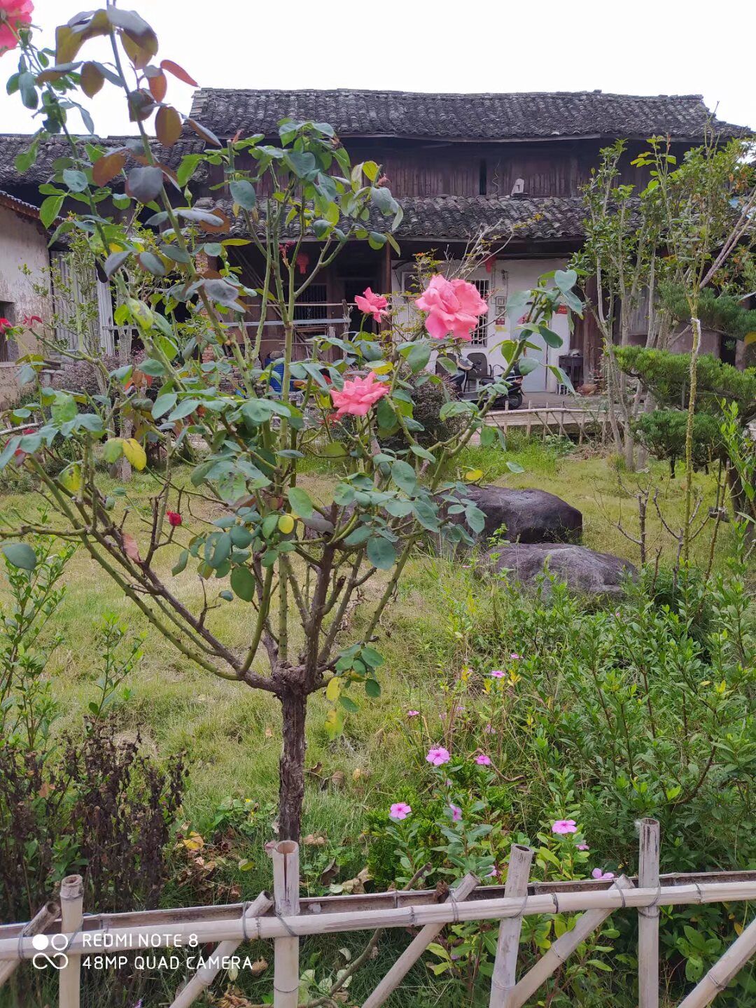 云田古镇旅行图片 3
