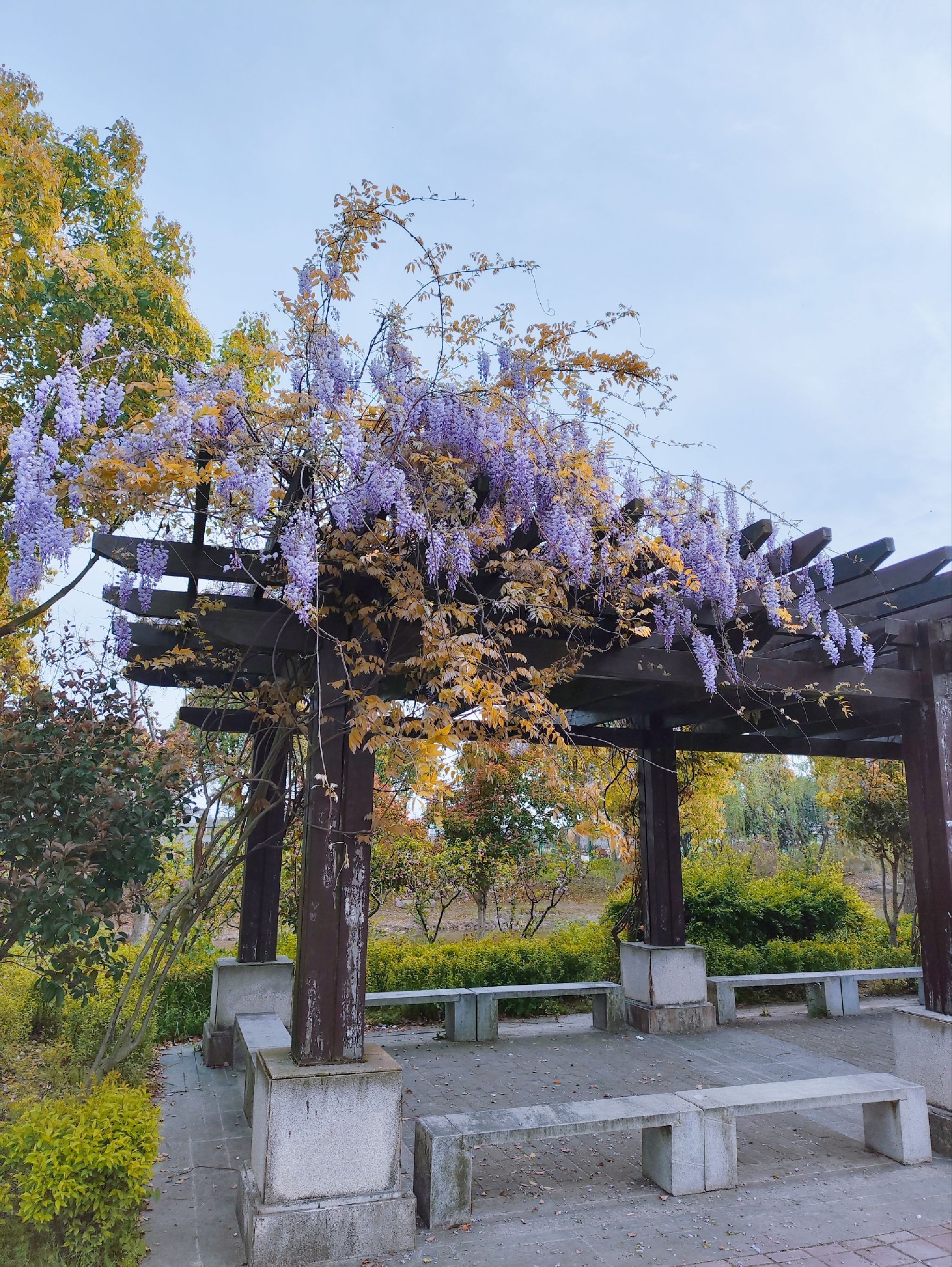 大治河公园旅行图片 1
