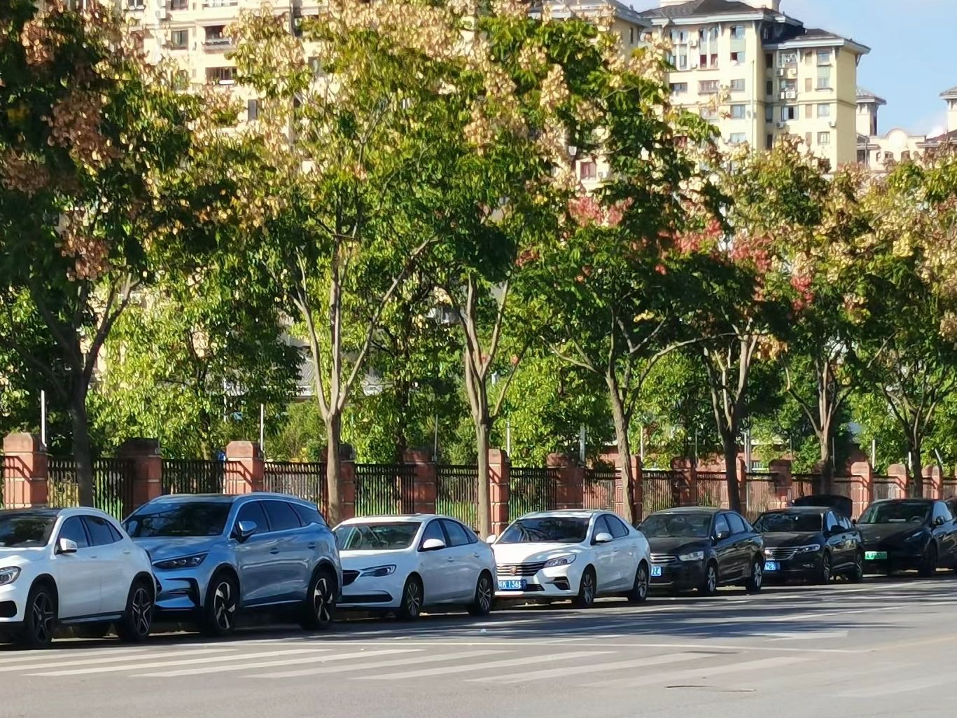 大治河公园旅行图片 1