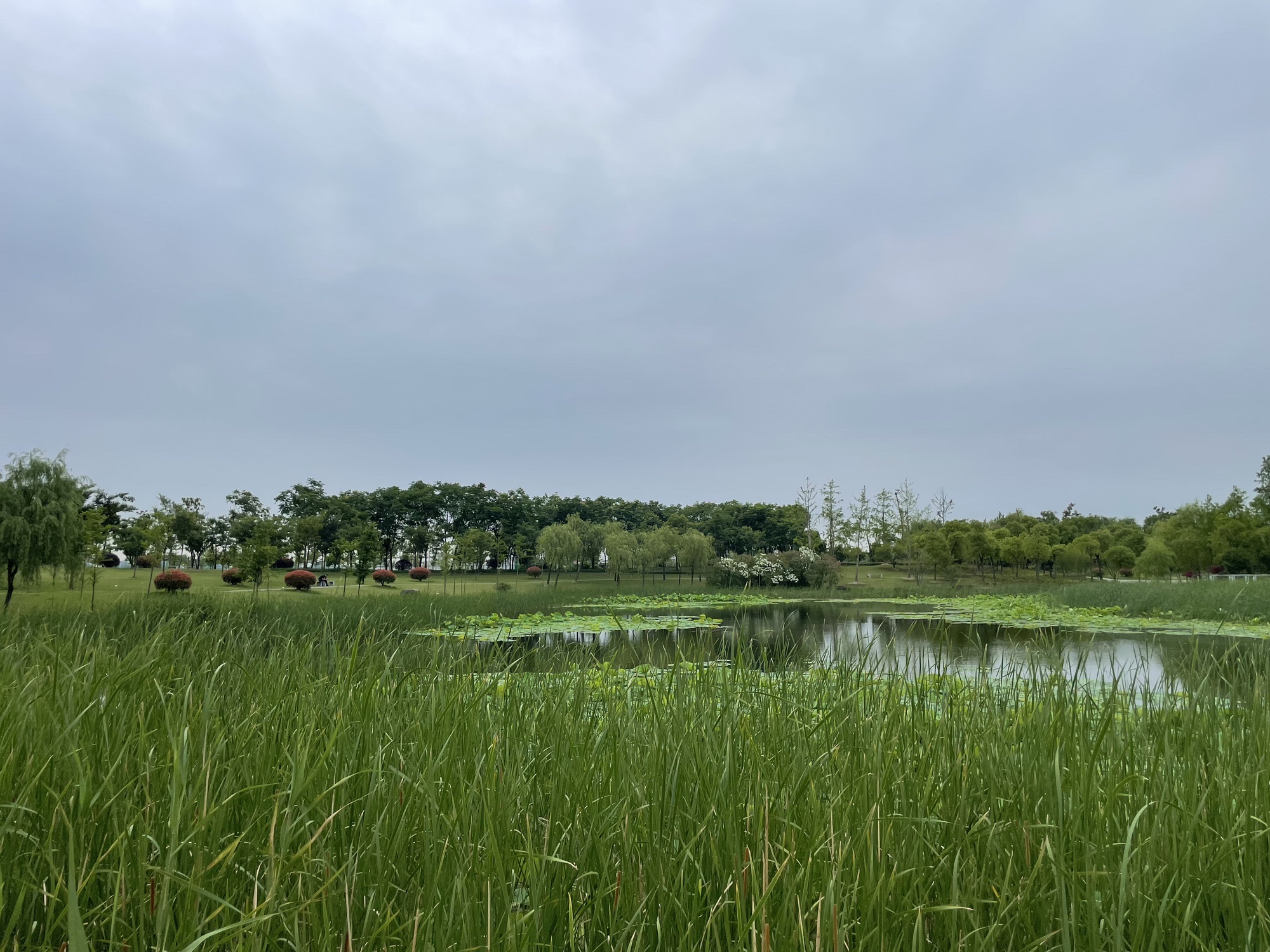 大治河公园旅行图片 1