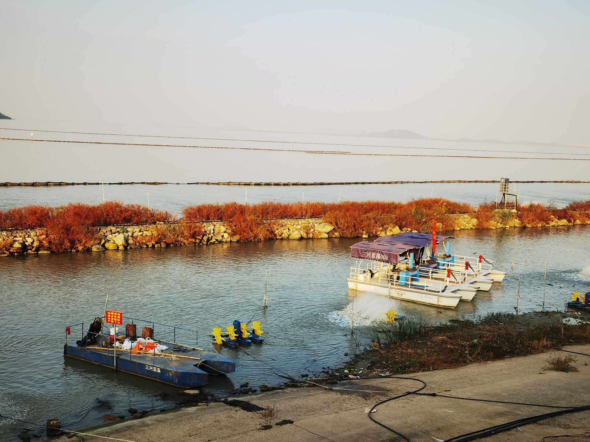 环巢湖观景台旅行图片 3