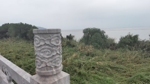 环巢湖观景台旅行图片 1