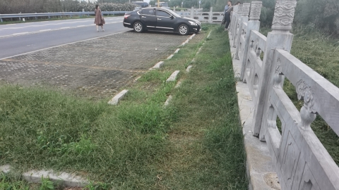环巢湖观景台旅行图片 2
