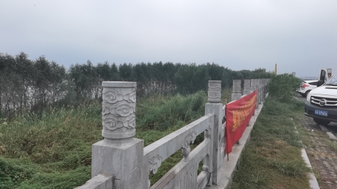 环巢湖观景台旅行图片 3