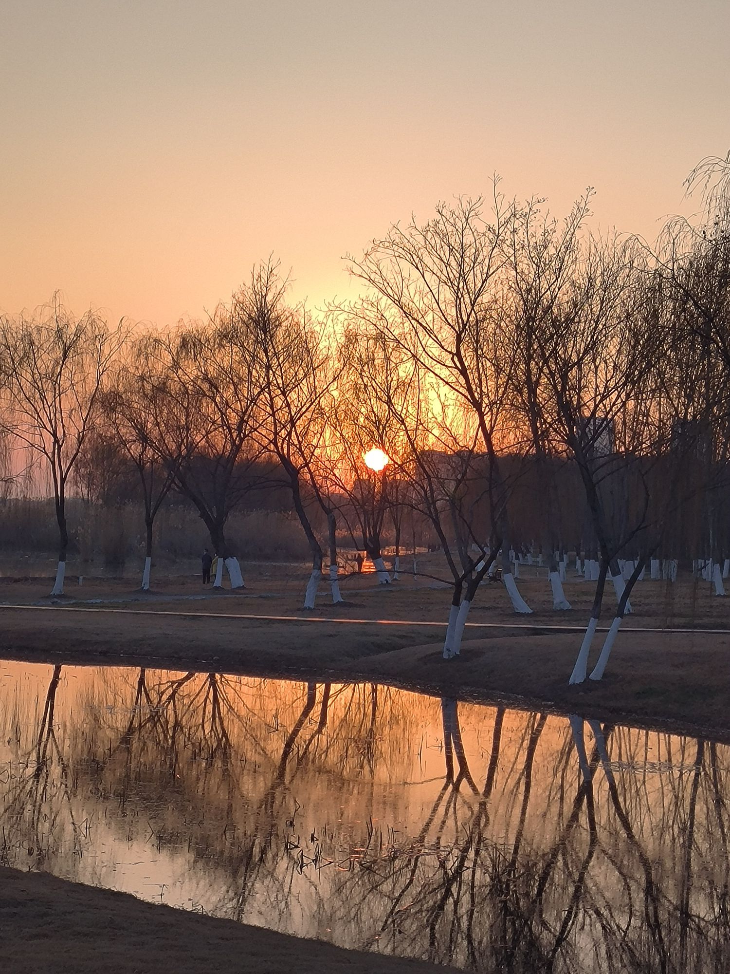 环巢湖观景台旅行图片 1