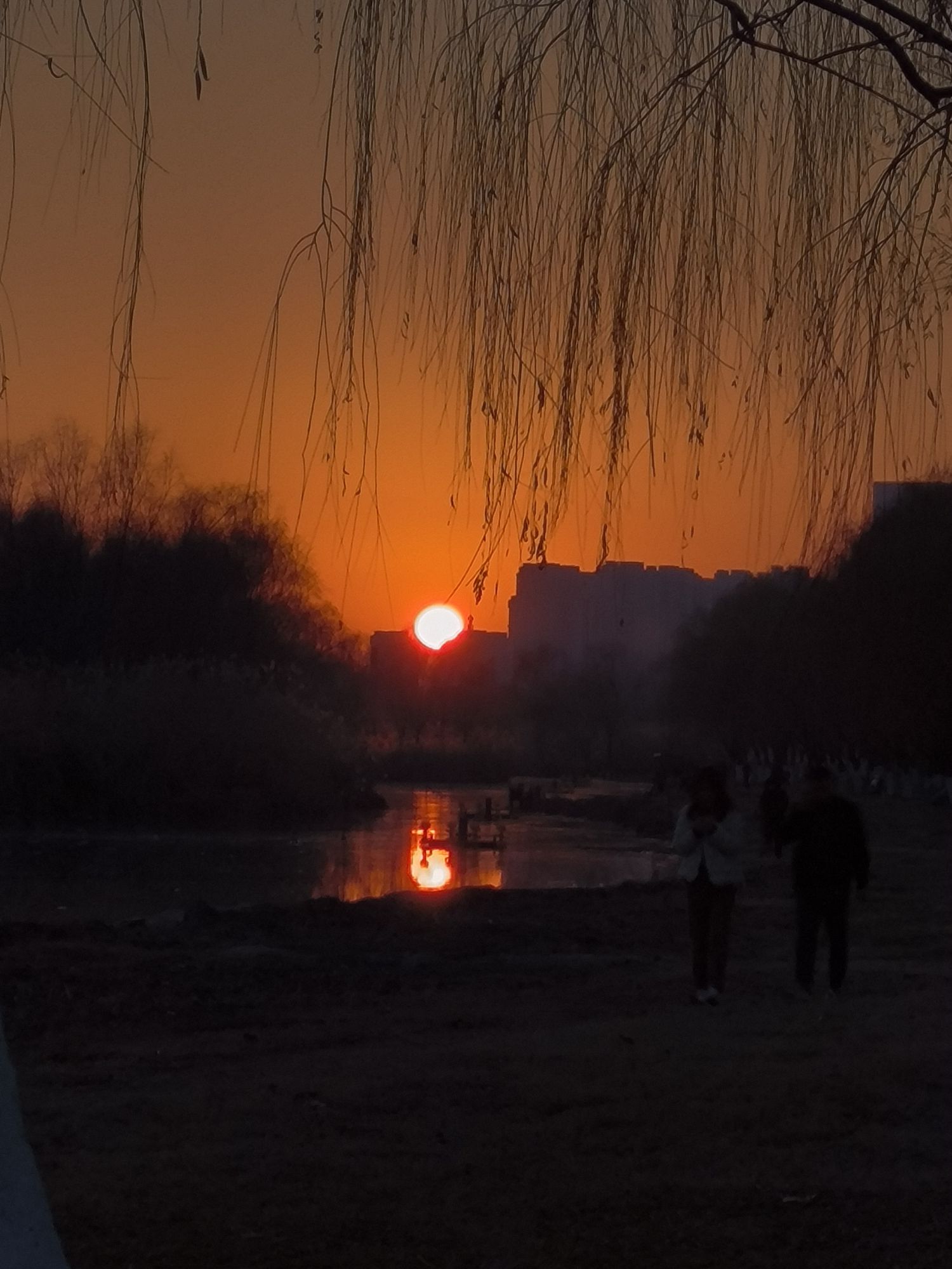环巢湖观景台旅行图片 2