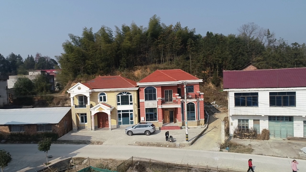 罗家祠堂旅行图片 1