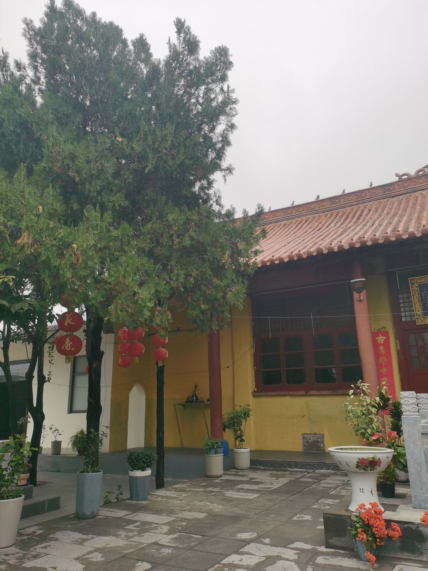 眼明寺旅行图片 2