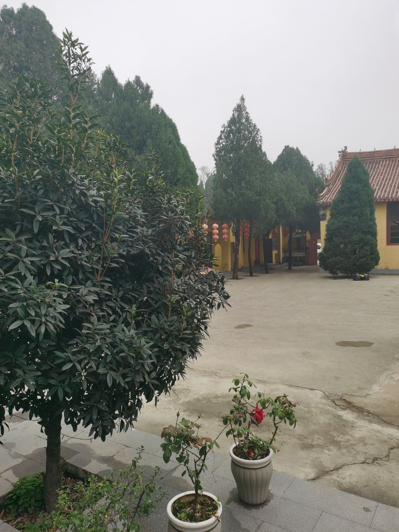 眼明寺旅行图片 3