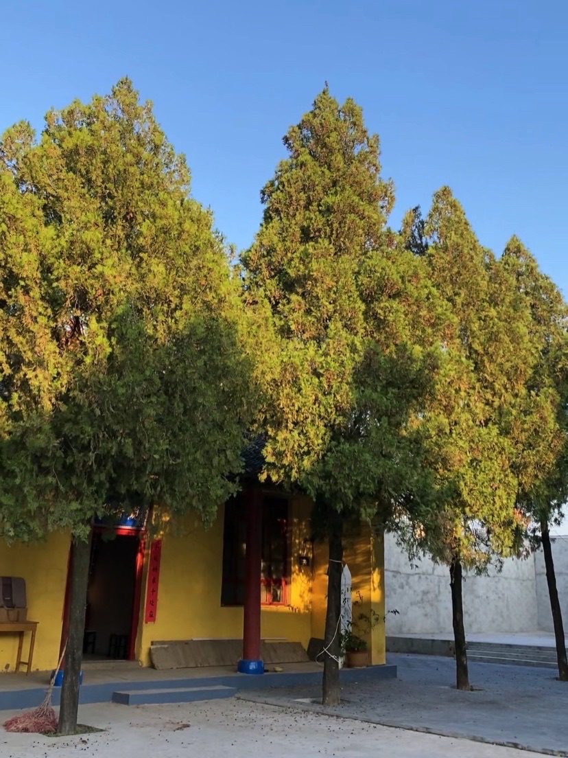 眼明寺旅行图片 3