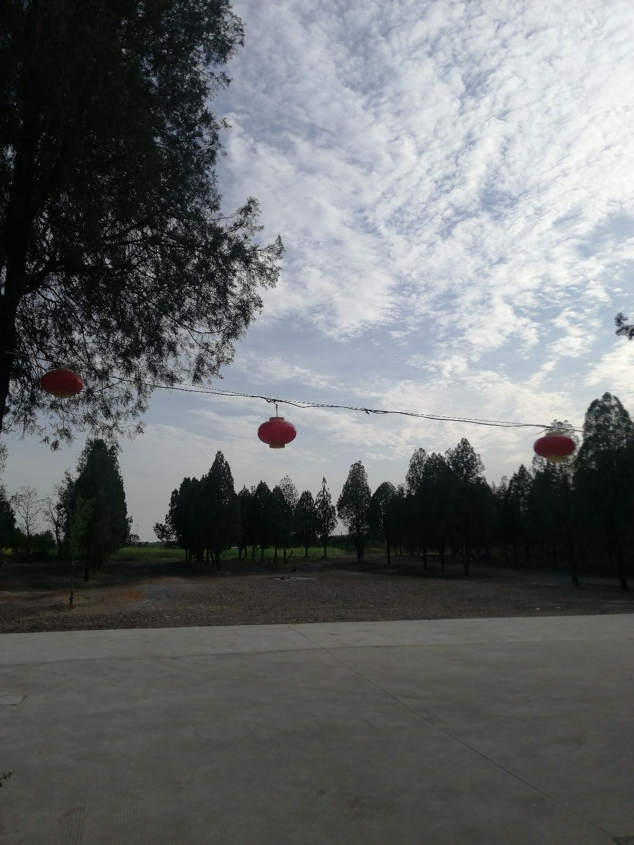 眼明寺旅行图片 3