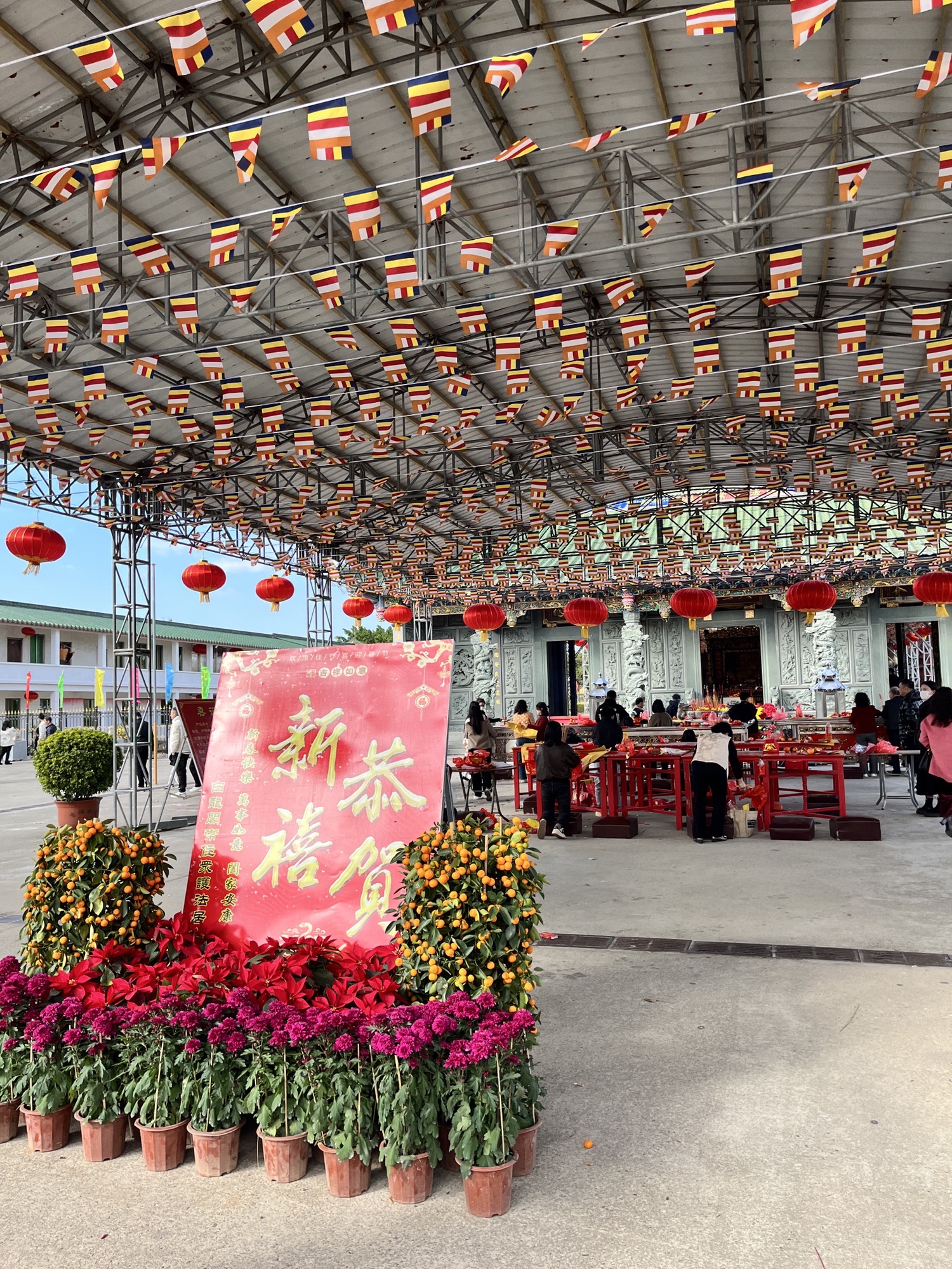 白龙阁旅行图片 2