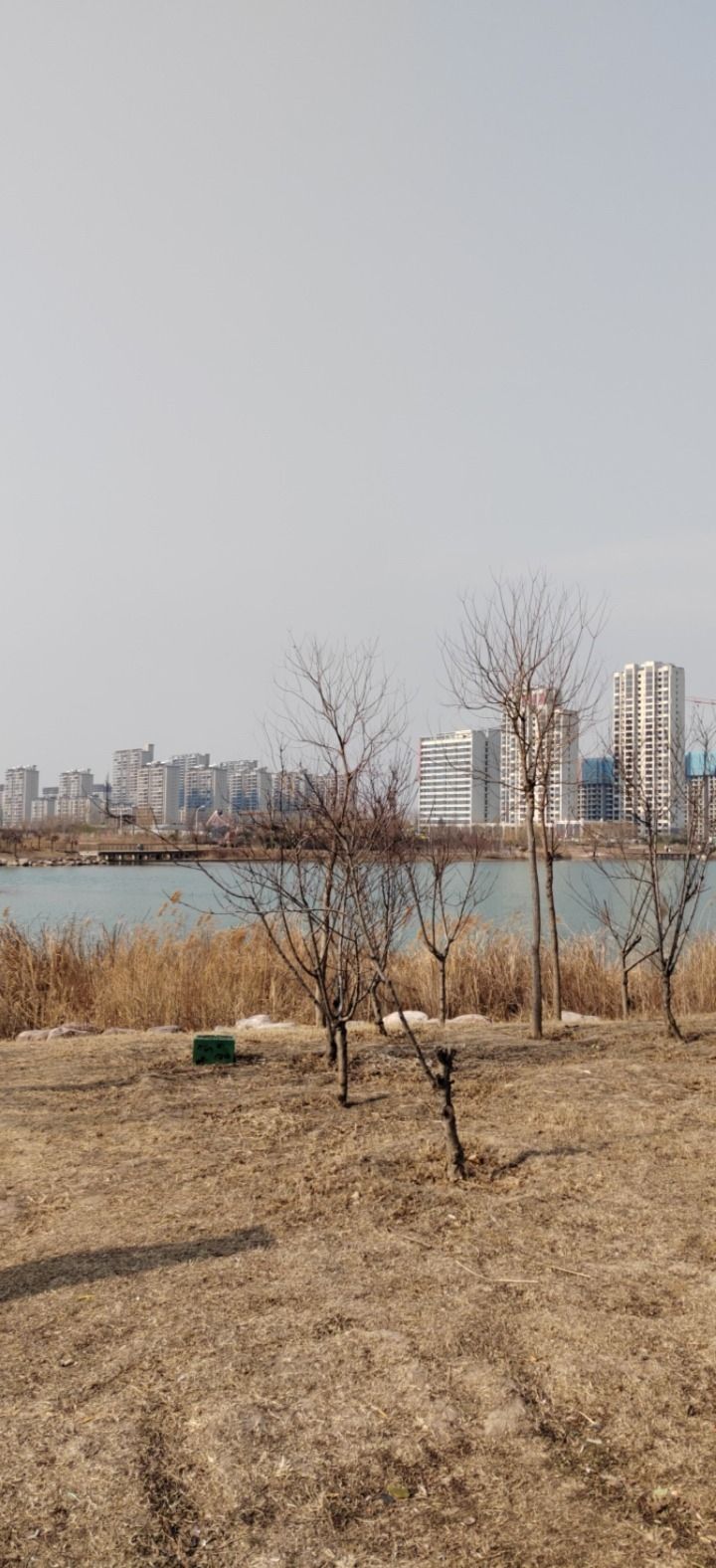 卫辉府城址旅行图片 3