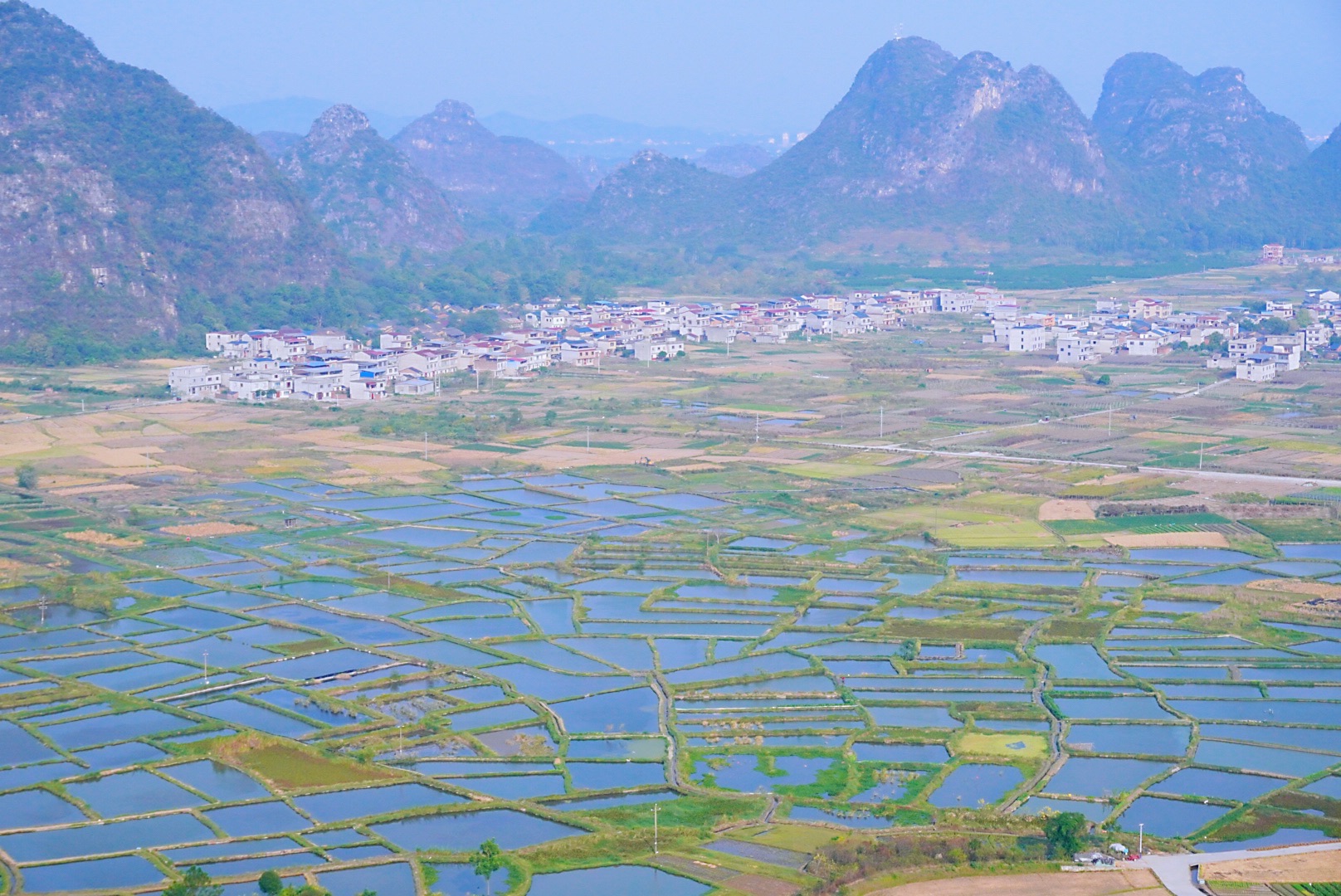会仙玻璃田旅行图片 1