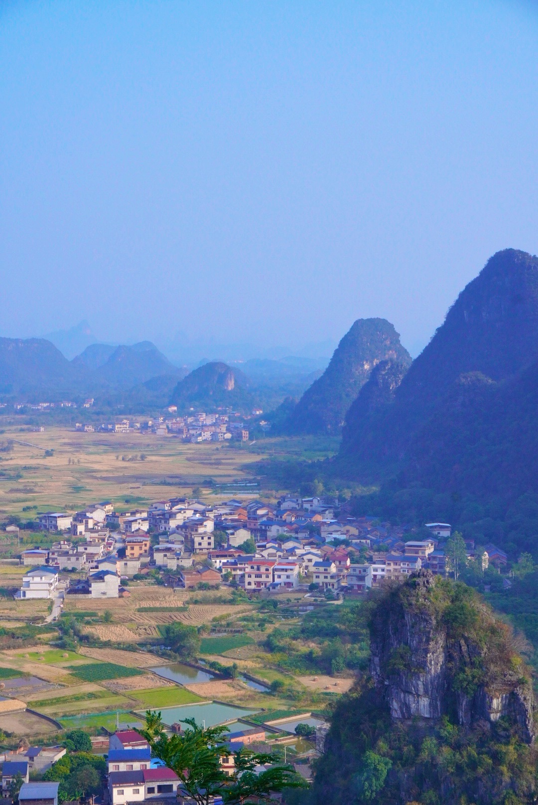 会仙玻璃田旅行图片 2