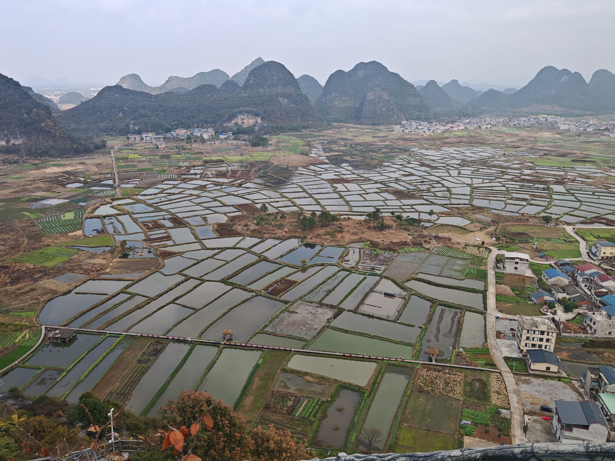 会仙玻璃田旅行图片 1